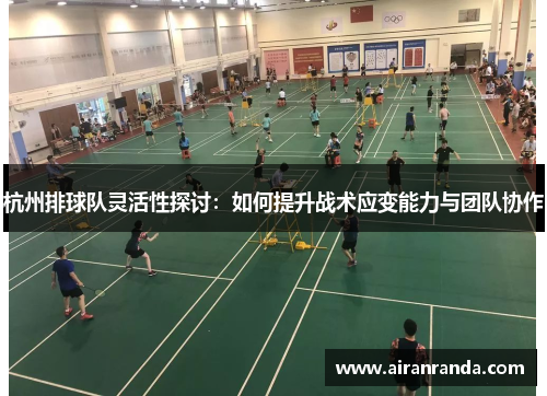 杭州排球队灵活性探讨：如何提升战术应变能力与团队协作